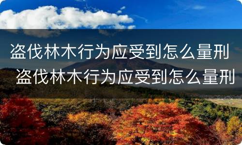 盗伐林木行为应受到怎么量刑 盗伐林木行为应受到怎么量刑处罚