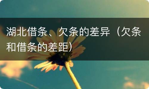 湖北借条、欠条的差异（欠条和借条的差距）