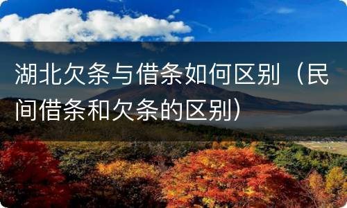 湖北欠条与借条如何区别（民间借条和欠条的区别）