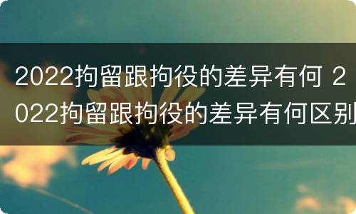 2022拘留跟拘役的差异有何 2022拘留跟拘役的差异有何区别