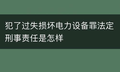 犯了过失损坏电力设备罪法定刑事责任是怎样