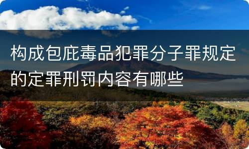 构成包庇毒品犯罪分子罪规定的定罪刑罚内容有哪些