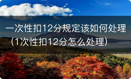 一次性扣12分规定该如何处理（1次性扣12分怎么处理）
