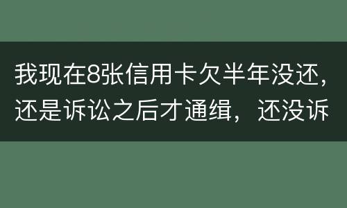 我现在8张信用卡欠半年没还，还是诉讼之后才通缉，还没诉讼