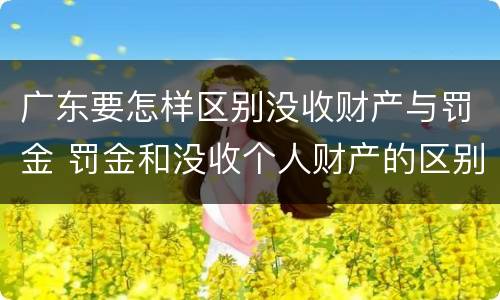 广东要怎样区别没收财产与罚金 罚金和没收个人财产的区别