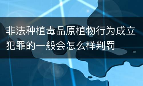 非法种植毒品原植物行为成立犯罪的一般会怎么样判罚