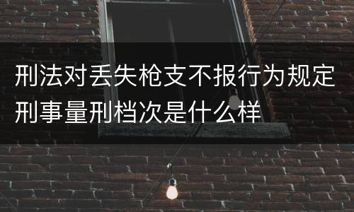 刑法对丢失枪支不报行为规定刑事量刑档次是什么样