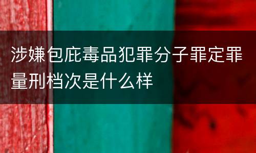 涉嫌包庇毒品犯罪分子罪定罪量刑档次是什么样