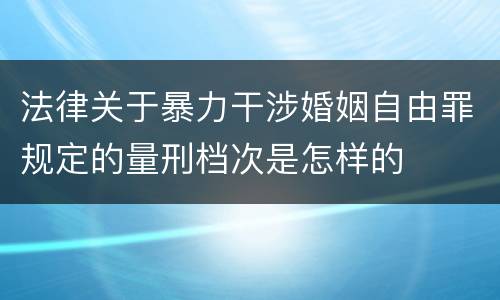 法律关于暴力干涉婚姻自由罪规定的量刑档次是怎样的