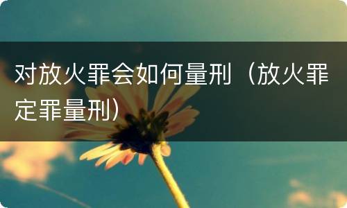 对放火罪会如何量刑（放火罪定罪量刑）