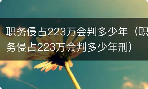 职务侵占223万会判多少年（职务侵占223万会判多少年刑）