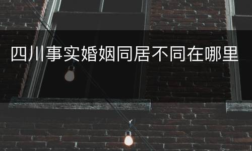 四川事实婚姻同居不同在哪里