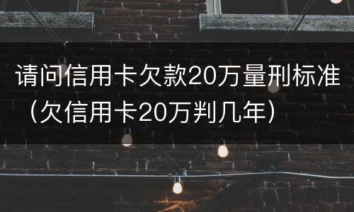 请问信用卡欠款20万量刑标准（欠信用卡20万判几年）
