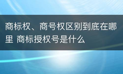 商标权、商号权区别到底在哪里 商标授权号是什么