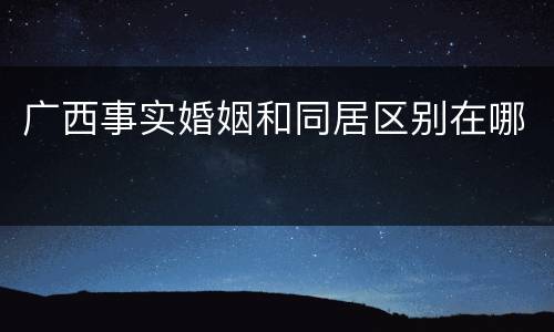广西事实婚姻和同居区别在哪