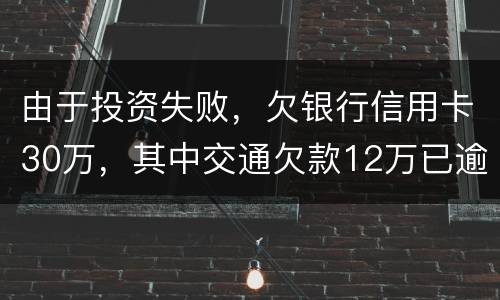 由于投资失败，欠银行信用卡30万，其中交通欠款12万已逾期将被起诉会不坐牢