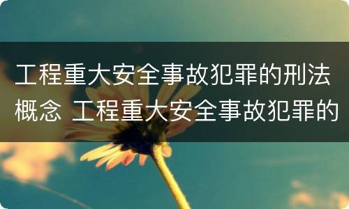 工程重大安全事故犯罪的刑法概念 工程重大安全事故犯罪的刑法概念是什么