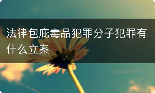 法律包庇毒品犯罪分子犯罪有什么立案