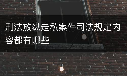 刑法放纵走私案件司法规定内容都有哪些