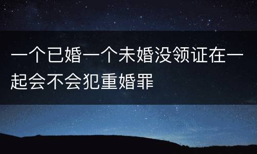 一个已婚一个未婚没领证在一起会不会犯重婚罪