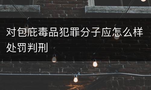对包庇毒品犯罪分子应怎么样处罚判刑