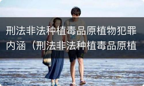 刑法非法种植毒品原植物犯罪内涵（刑法非法种植毒品原植物犯罪内涵是什么）