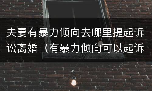 夫妻有暴力倾向去哪里提起诉讼离婚（有暴力倾向可以起诉离婚吗）