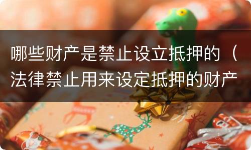 哪些财产是禁止设立抵押的（法律禁止用来设定抵押的财产）