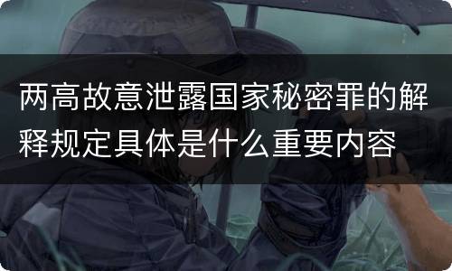 两高故意泄露国家秘密罪的解释规定具体是什么重要内容