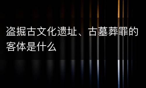盗掘古文化遗址、古墓葬罪的客体是什么