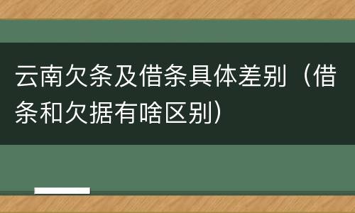 云南欠条及借条具体差别（借条和欠据有啥区别）