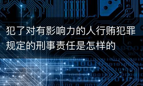 犯了对有影响力的人行贿犯罪规定的刑事责任是怎样的