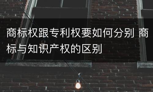 商标权跟专利权要如何分别 商标与知识产权的区别
