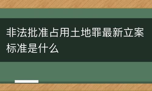 非法批准占用土地罪最新立案标准是什么