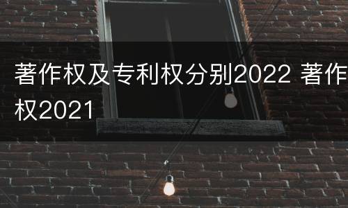 著作权及专利权分别2022 著作权2021