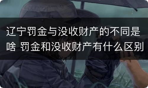 辽宁罚金与没收财产的不同是啥 罚金和没收财产有什么区别