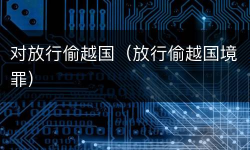 对放行偷越国（放行偷越国境罪）