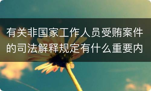 有关非国家工作人员受贿案件的司法解释规定有什么重要内容
