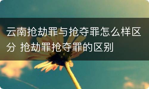 云南抢劫罪与抢夺罪怎么样区分 抢劫罪抢夺罪的区别