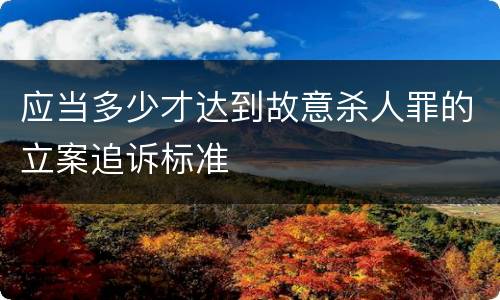 应当多少才达到故意杀人罪的立案追诉标准