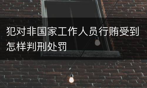 犯对非国家工作人员行贿受到怎样判刑处罚
