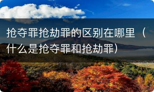 抢夺罪抢劫罪的区别在哪里（什么是抢夺罪和抢劫罪）