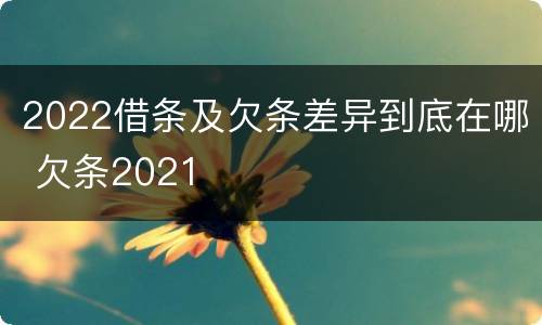 2022借条及欠条差异到底在哪 欠条2021