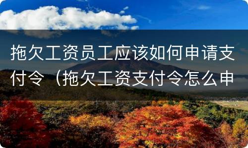 拖欠工资员工应该如何申请支付令（拖欠工资支付令怎么申请）