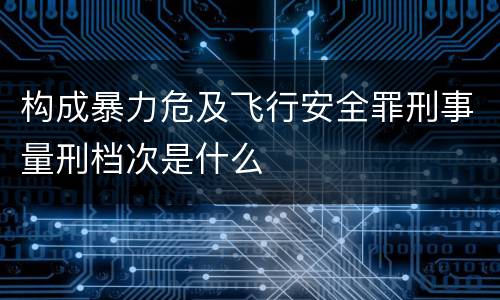 构成暴力危及飞行安全罪刑事量刑档次是什么