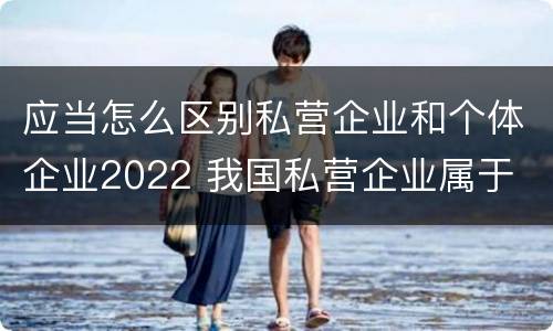 应当怎么区别私营企业和个体企业2022 我国私营企业属于