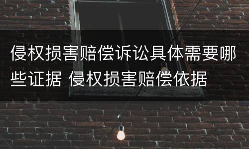 侵权损害赔偿诉讼具体需要哪些证据 侵权损害赔偿依据