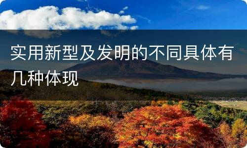 实用新型及发明的不同具体有几种体现