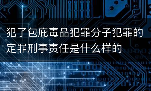 犯了包庇毒品犯罪分子犯罪的定罪刑事责任是什么样的