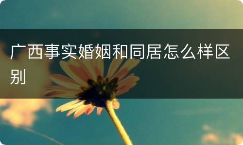 广西事实婚姻和同居怎么样区别